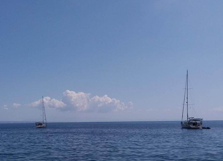 mini_20210828_121259