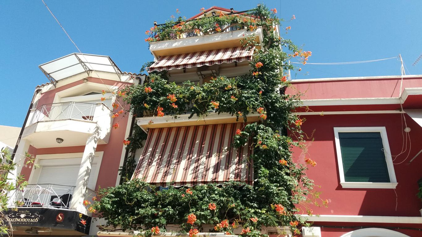 mini_20210828_155606